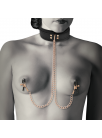 COQUETTE FANTASY Collar With Nipple Clamps