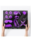 INTOYOU BDSM LINE Bondage Set 11 Pieces Purple