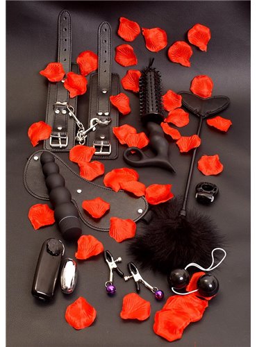 AMAZING PLEASURE SEX TOY KIT